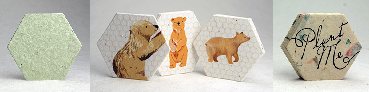 seed paper hexagons