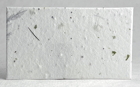 seed paper panel