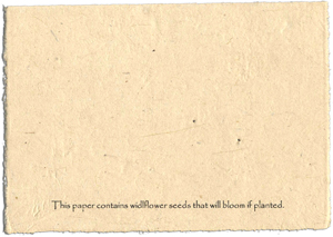 Back of Card