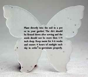 large printed butterfly