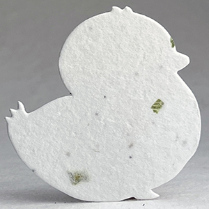 3s chard seed paper chick shape