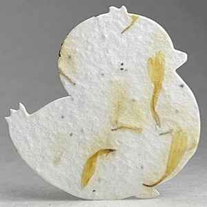 6s marigold seed paper chick shape