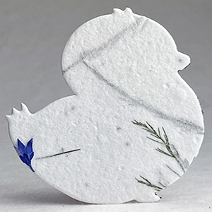 30s bachelor button seed paper chick shape