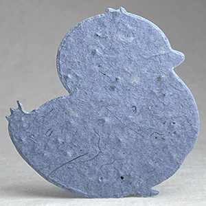 34s blue seed paper chick shape