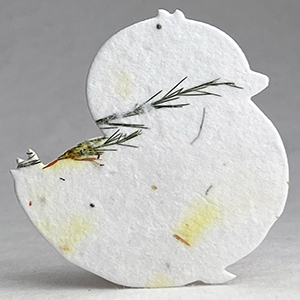 43s safflower fern seed paper chick shape