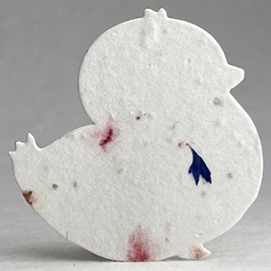 48s pink and blue seed paper chick shape