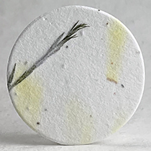 seed paper circle shapes