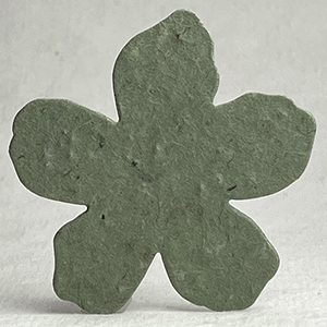 14s green seed paper flower shape 