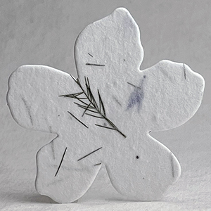 30s bachelor button seed paper flower shape 
