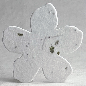 36s fern and chard seed paper flower shape 