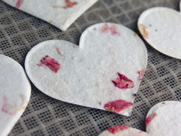 seed paper heart shapes