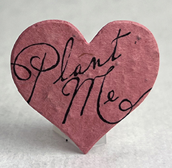 Plant Me 68s Paper