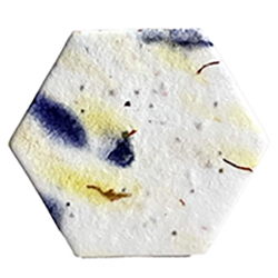 blank seed paper hexagon