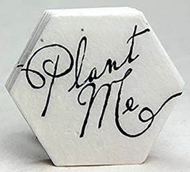 10s plant me text printed hexagon