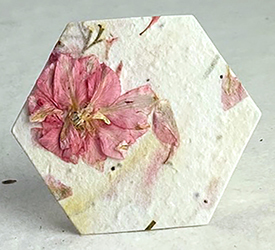 24s pink larkspur petal seed paper hexagon shape