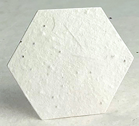 36s tree fern and chard seed paper hexagon shape