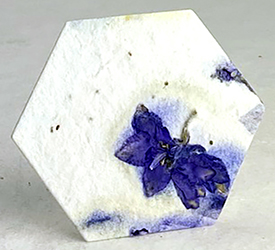 04s purple larkspur petal seed paper hexagon shape