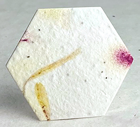 61s margold stock seed paper hexagon shape