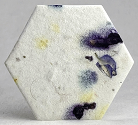 66s safflower and blue petal seed paper hexagon shape
