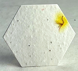 07s safflower petal seed paper hexagon shape