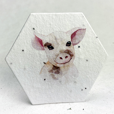 printed seed paper hexagon shapes