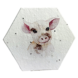 printed seed paper hexagon