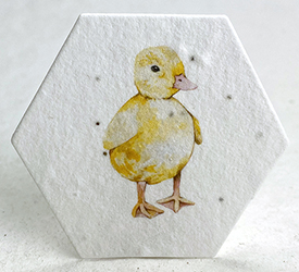 watercolor farm animals duckling printed duckling