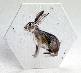watercolor hare printed hexagon