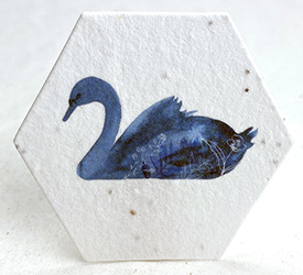 whatercolor swan printed hexagon