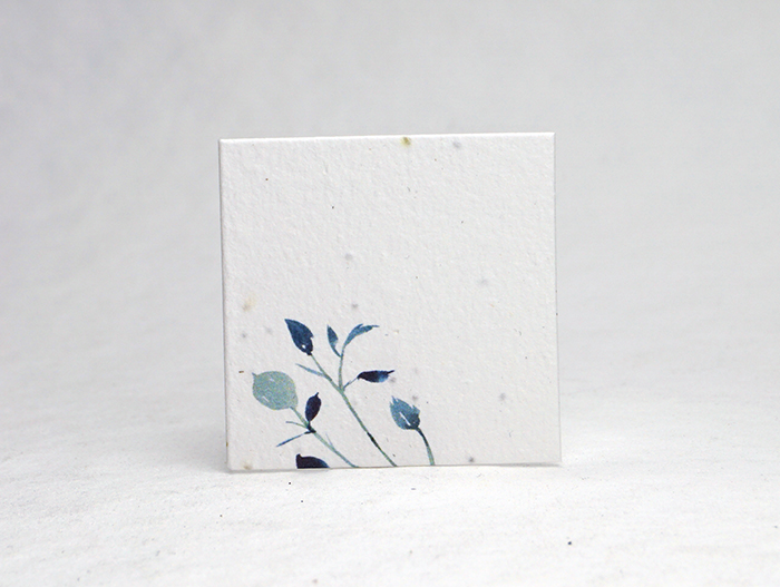 circle seed paper tags