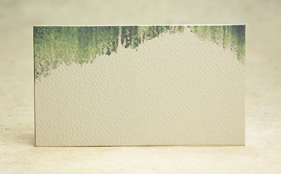 Color Felt Hanging Moss Business Card Size