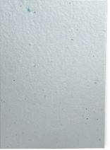 #21s - Blue Cotton/Lotka
