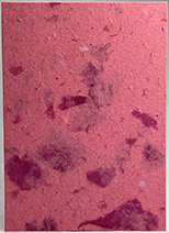#70s - Marbled Lotka