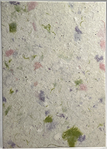 #74s - Marbled Lotka