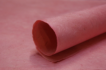 rose lotka paper roll