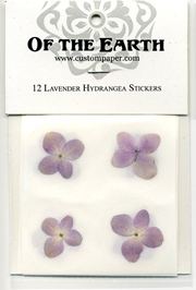 Lavender Flower 12pk