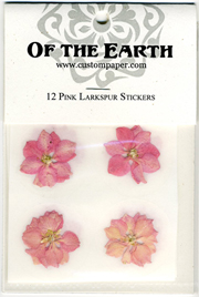 Pink Larkspur 12pk